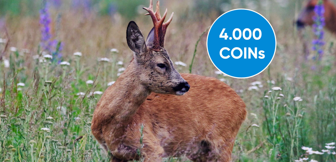 Maibock Aktion